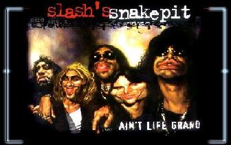 Welcome to Slash's Snakepit