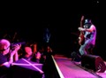 Slash World Tour 2010 photos
